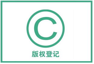 軟件著作權侵權的證據材料清單與知識產權服務指引