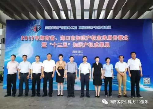 2017年海南省知識產權十大社會關注熱點 聚焦服務創新與產業升級