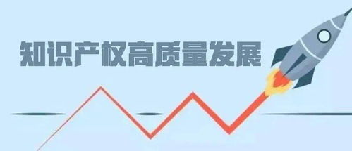 交出知識產權高質量發展湖南答卷 打造創新高地，賦能產業未來
