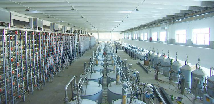 2023德州綠色低碳高質量發展“期終考”丨武城縣、夏津縣、齊河縣、禹城市知識產權服務亮點回顧