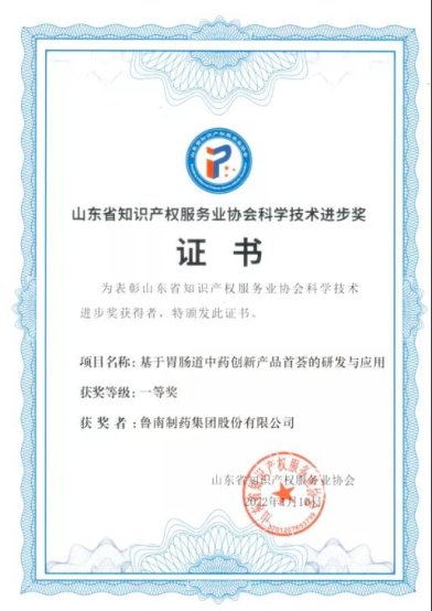 魯南制藥“首薈”項目榮獲山東省知識產權服務業協會科學技術進步獎一等獎，彰顯知識產權服務新高度